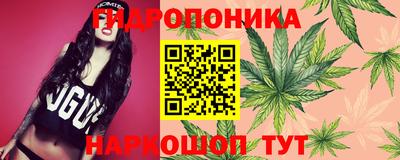 каннабис Уссурийск