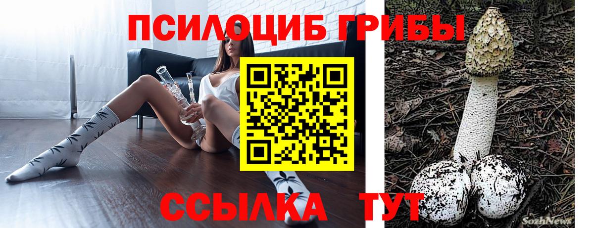 Галлюциногенные грибы Magic Shrooms Кимры