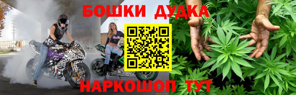 Каннабис индика Кимры